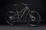 Commencal T.E.M.P.O. Essential Frozen Brown