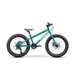 Bicicleta Infantil Norco Storm 20" Disc Verde