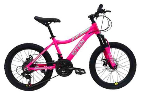 Bicicleta 10TEN Aluminio Aro 20