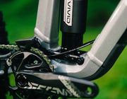 Transition TR11 2026 detalle C.H.I.P.S.
