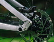 Transition TR11 2026 detalle S.A.L.S.A.