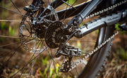 Polygon Collosus DH7 transmisión