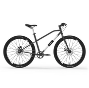 Bicicleta Urbana Antirrobo YERKA V4