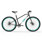 Bicicleta Urbana Antirrobo YERKA V4
