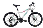 Bicicleta 10TEN Aluminio Aro 24
