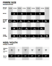 Bicicleta Ruta KTM Revelator Alto SE4